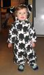 trick or moo