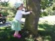 tree hugging Charlotte