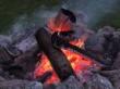 beach fire