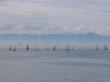 swiftsure