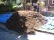 lawn mix