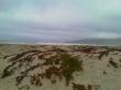 dunes, waves