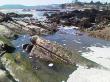 local tidal pools